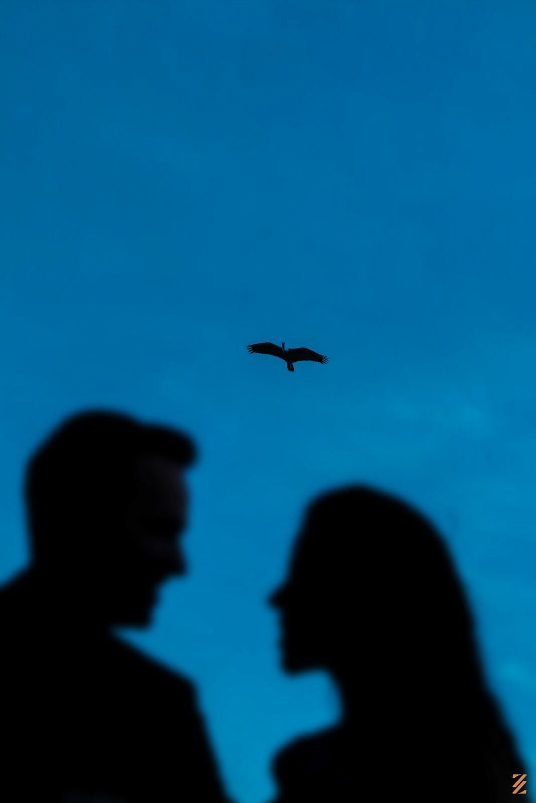 Foto Pré wedding Fernanda & Fernando - Imagem 57