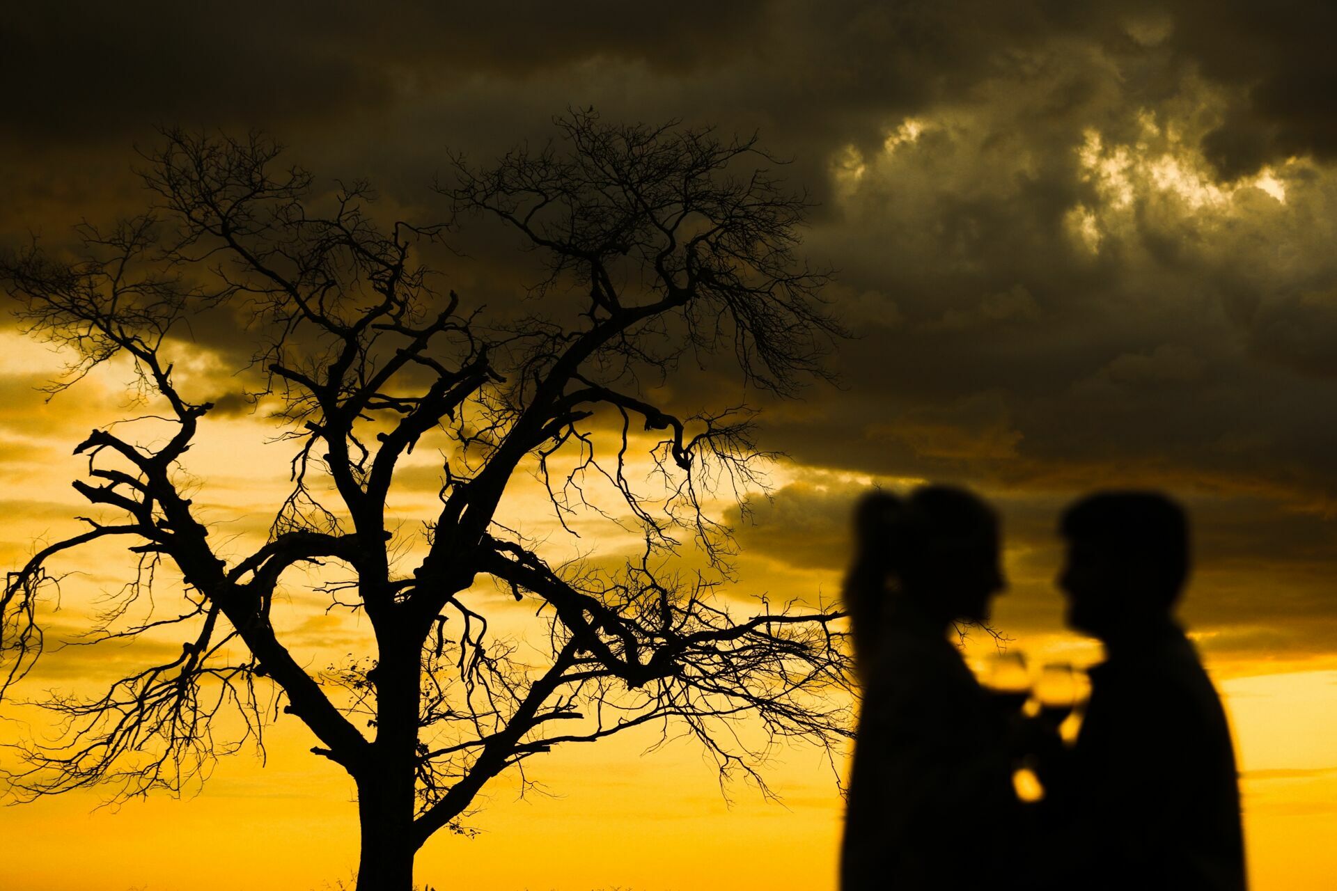 Foto Pre wedding Barbara e Paulo - Imagem 67