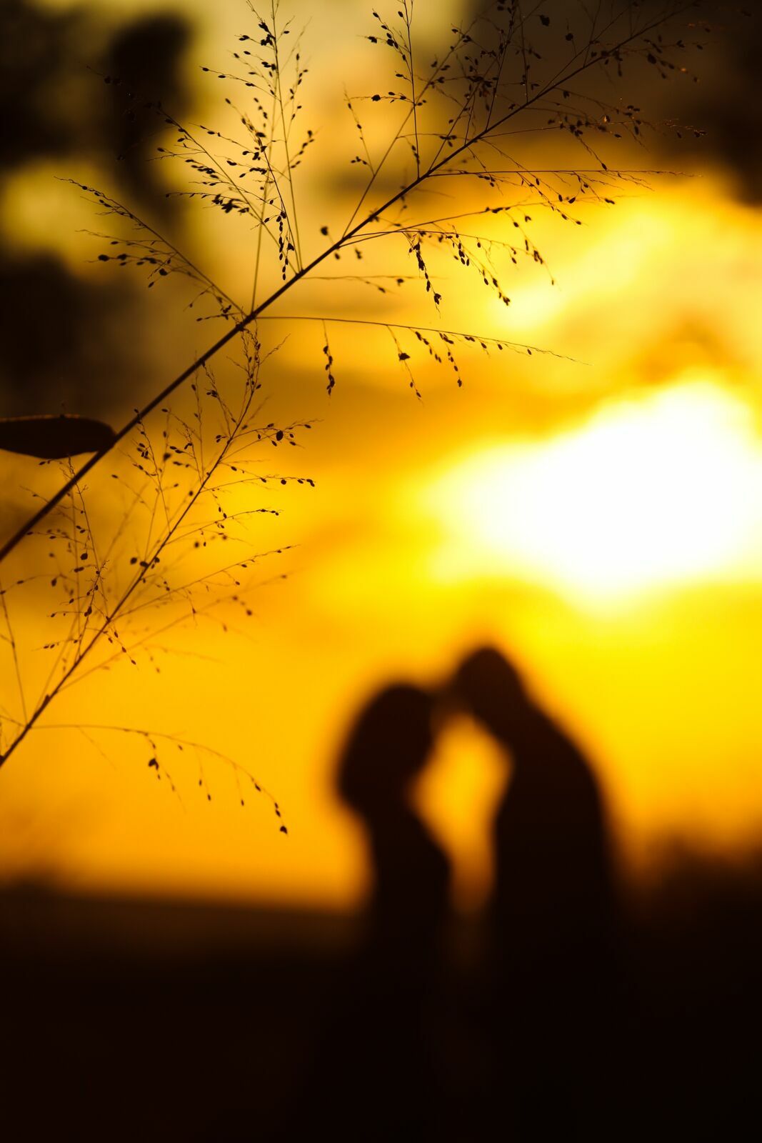 Foto Pre Wedding Dani  e Julio - Imagem 32