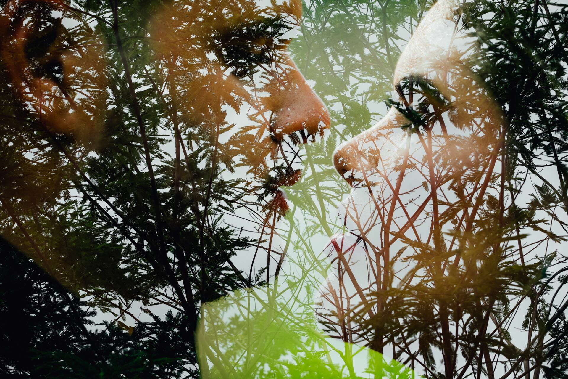 Foto Wagner e Andrea - Imagem 33