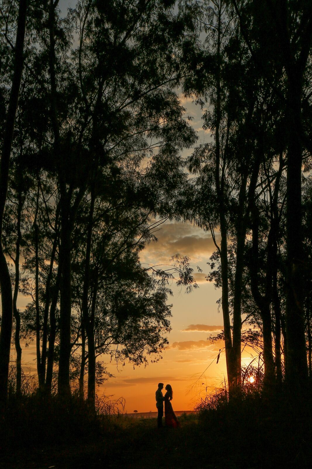 Foto O amor de Andrea e mateus Foto O amor de Andrea e mateus - Imagem 104