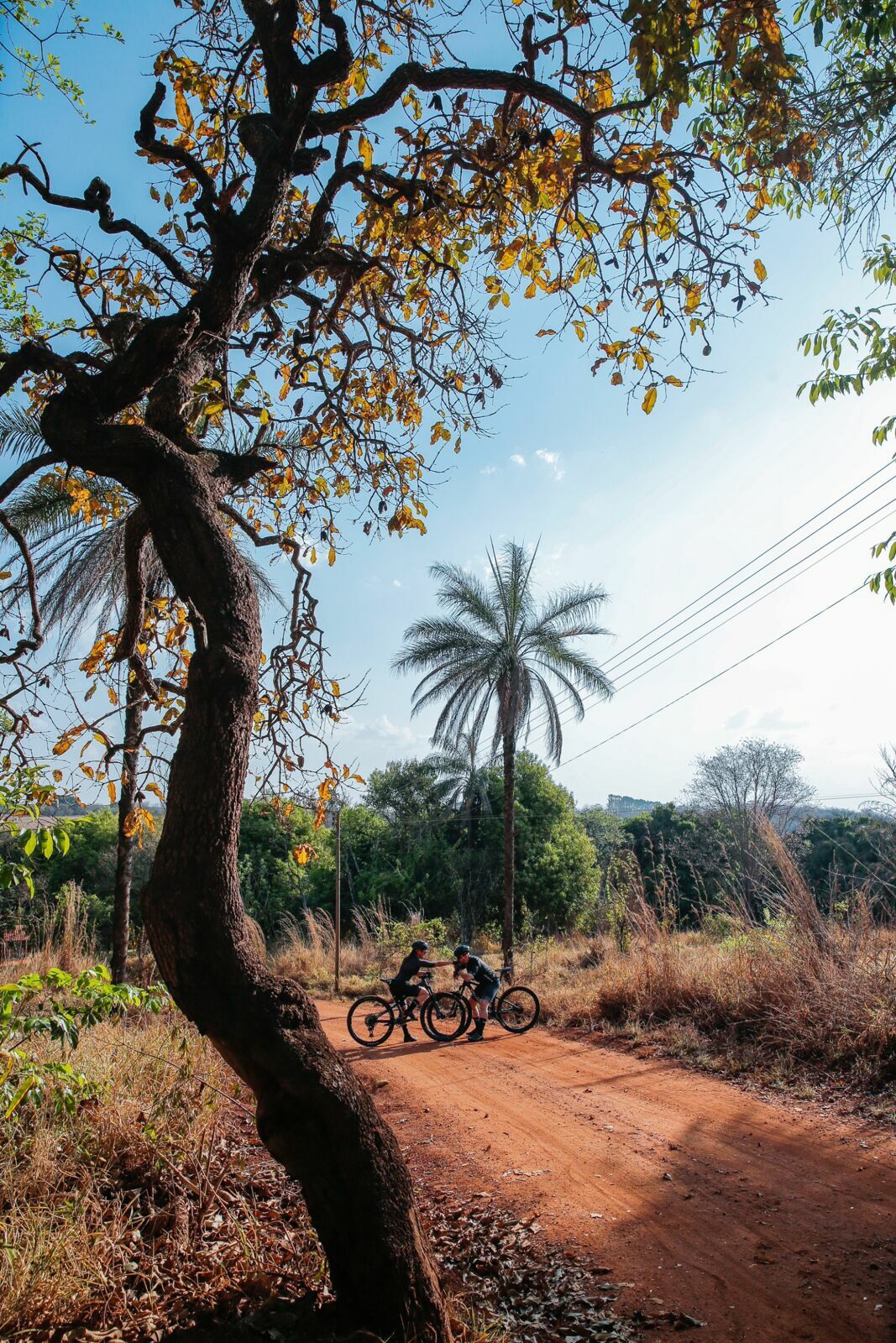 Foto Pre Wedding Vitoria e Silas - Imagem 22