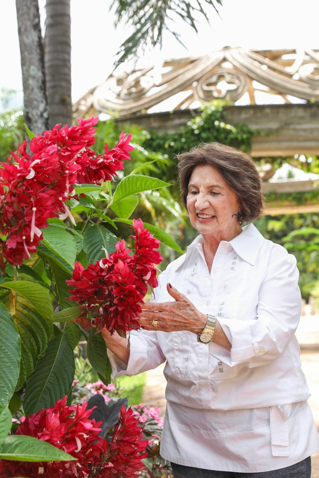 Foto Nelva e o maior tesouro da sua vida... FAMILIA - Imagem 12
