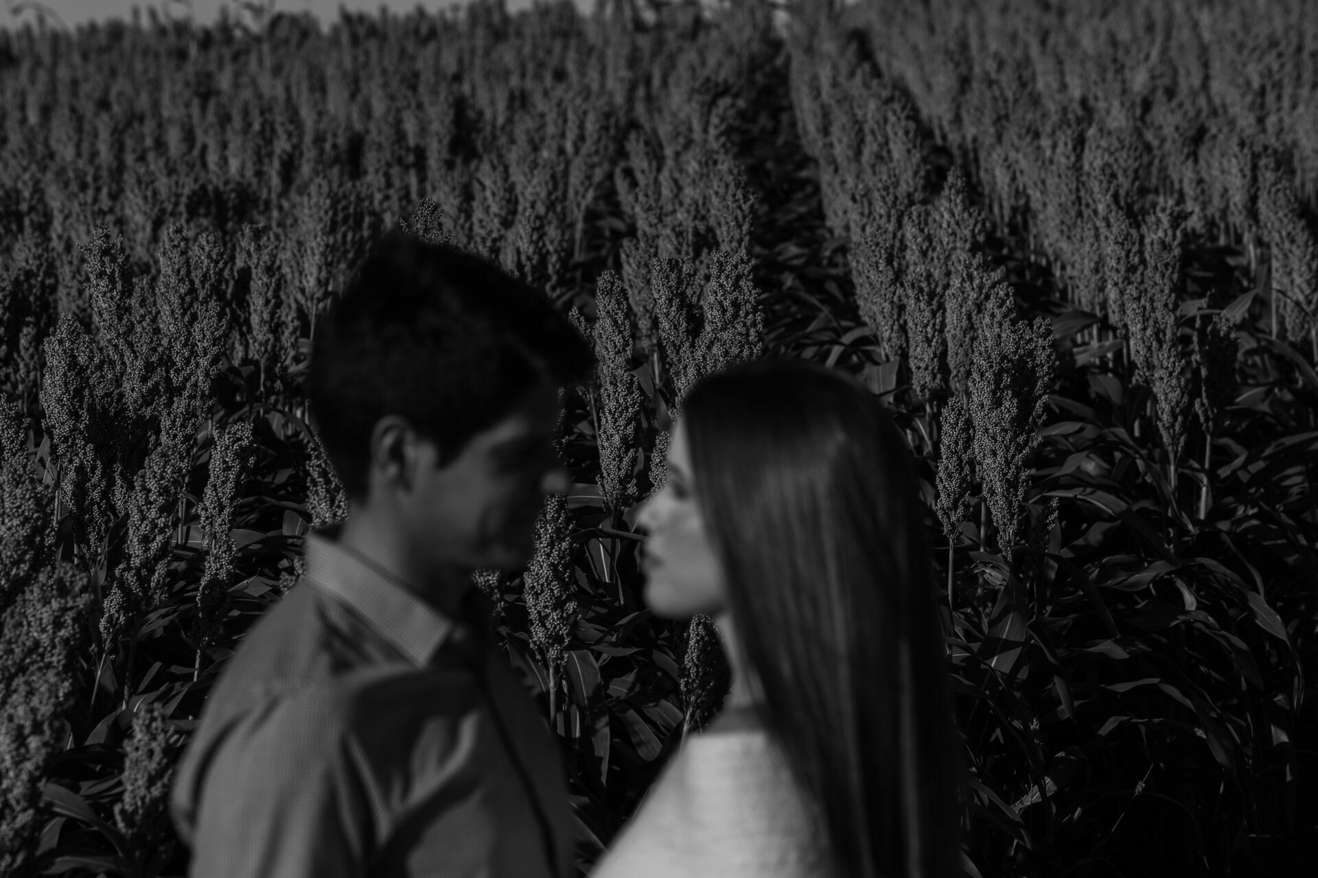 Foto Pre wedding Maria Julia e Esteban - Imagem 66