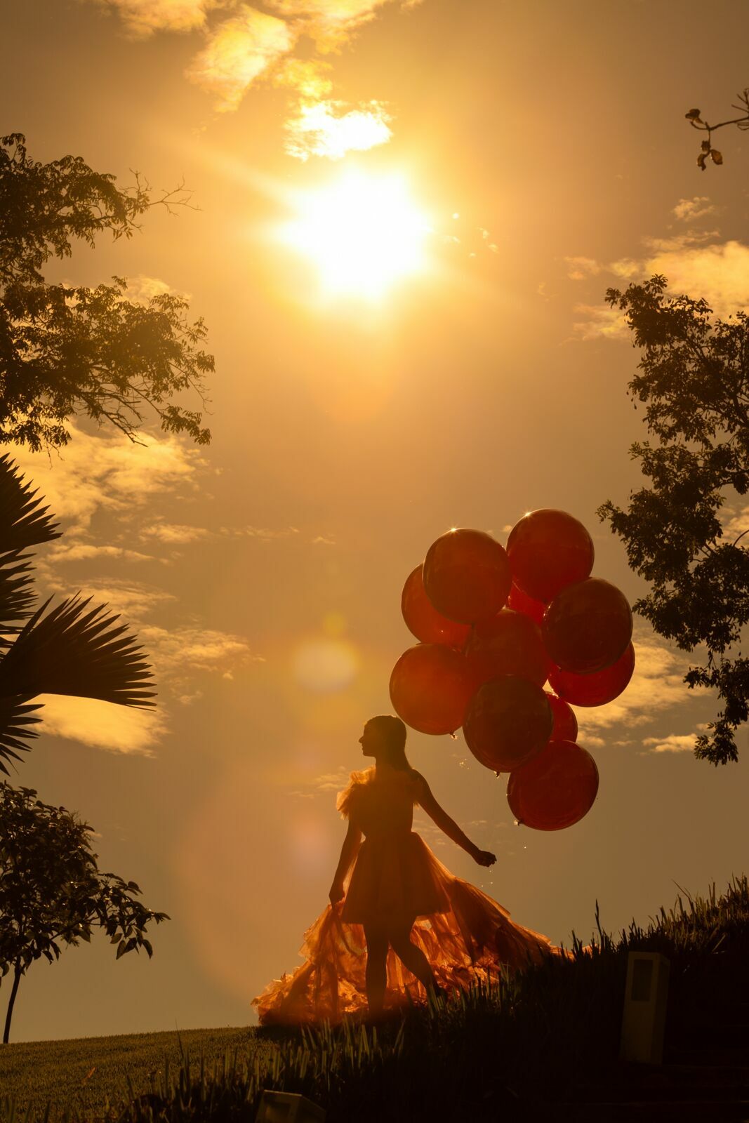 Foto Ensaio Luisa Guimaraes - Imagem 32