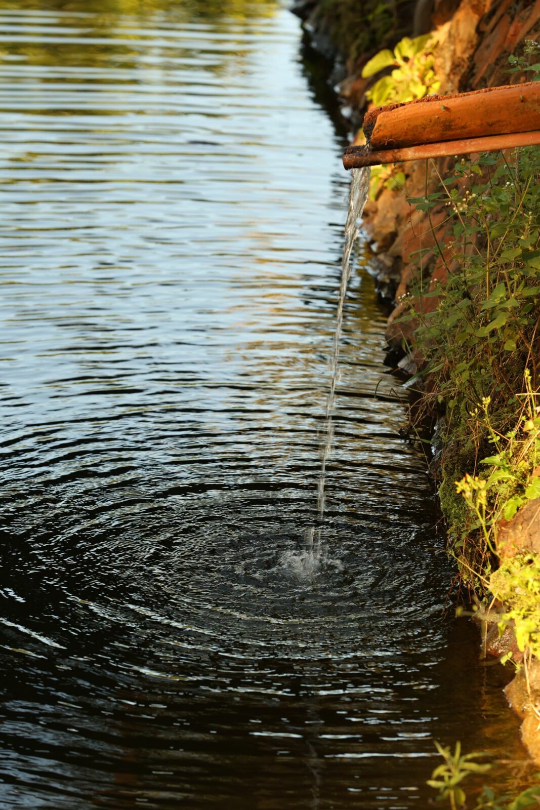 Foto Pre wedding Lara e Thales - Imagem 57