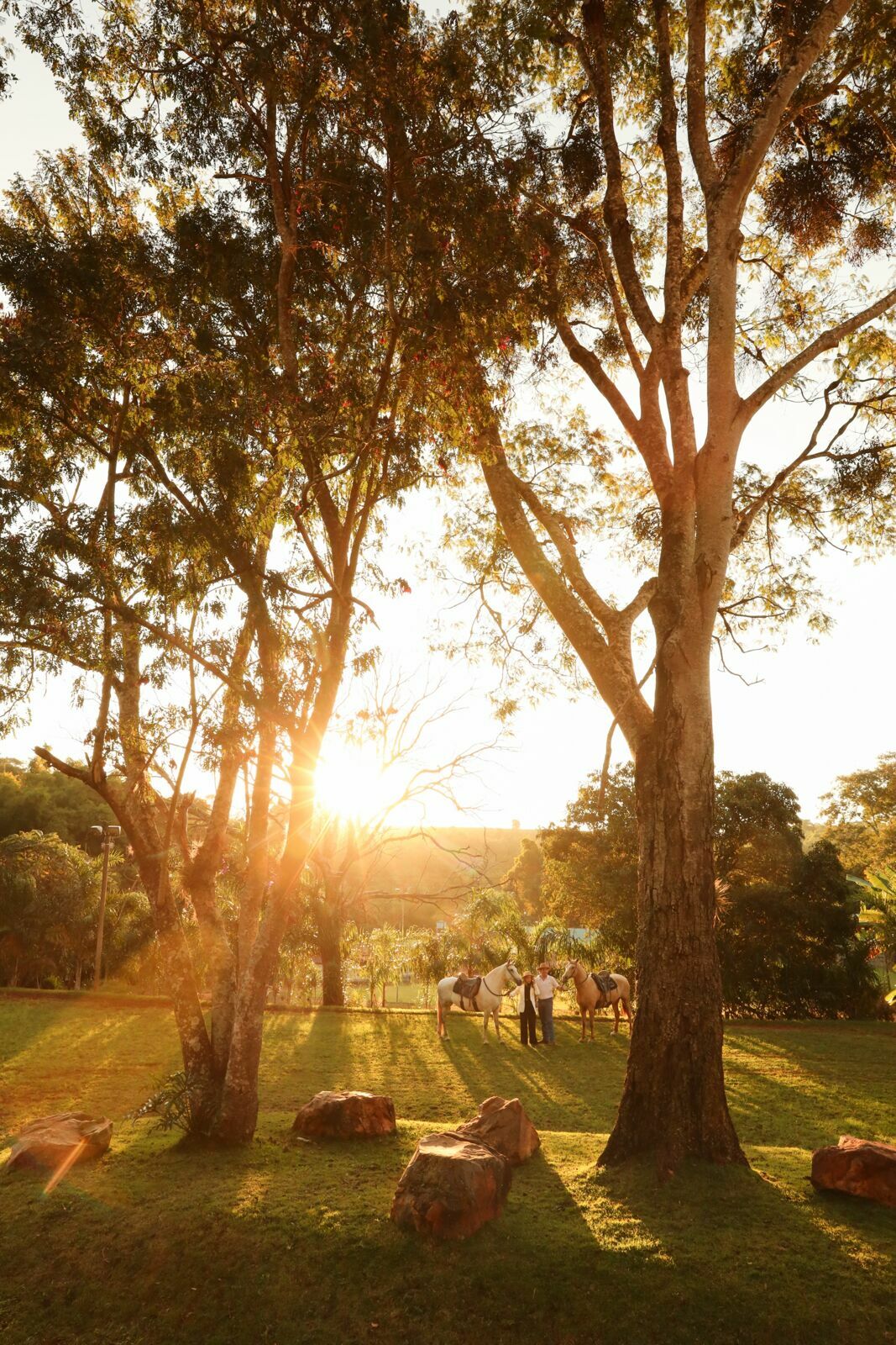 Foto Pre wedding Lara e Thales - Imagem 69