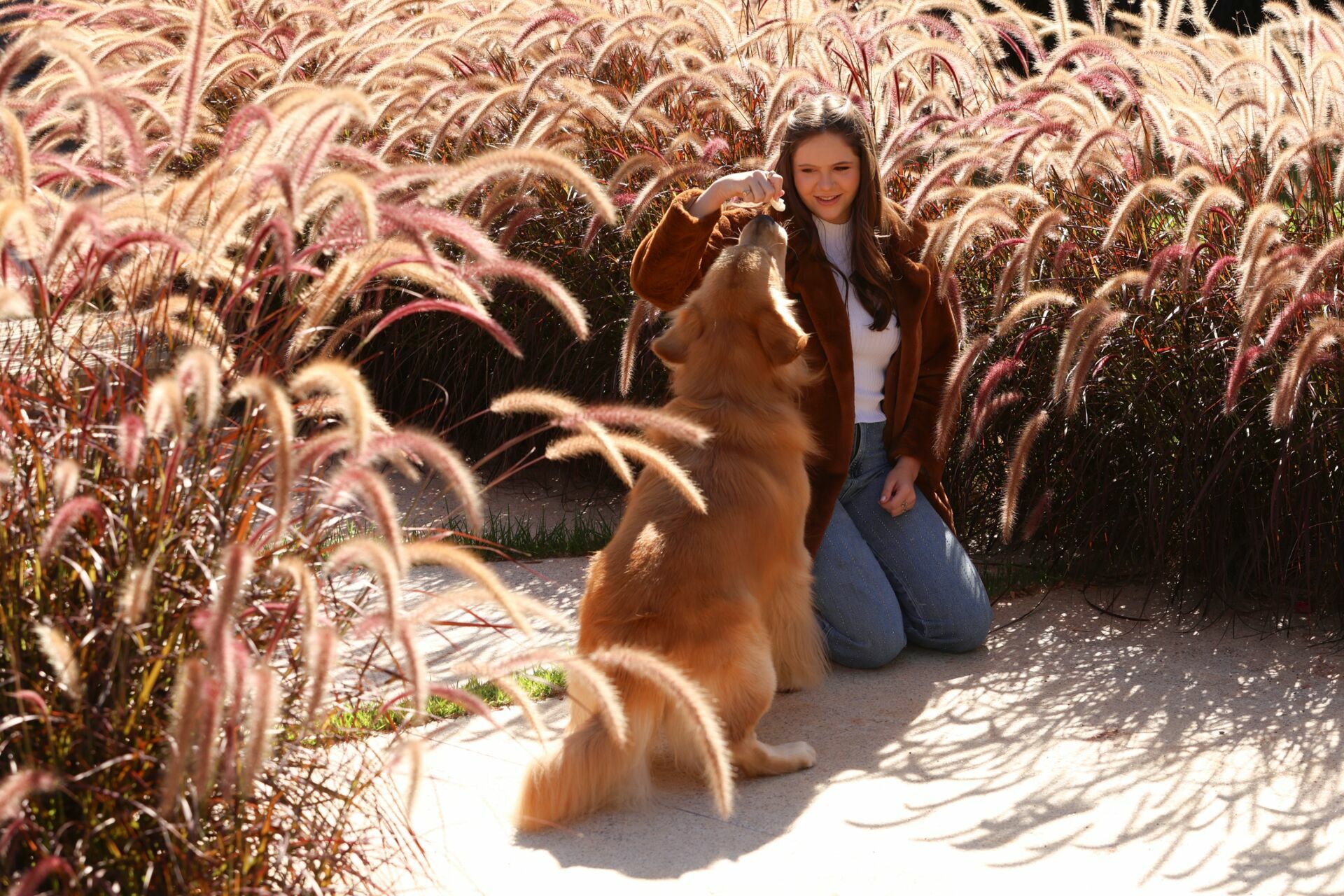 Foto Sofia - Imagem 37