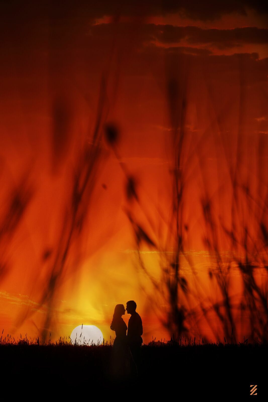 Foto Isabella e Renan - Imagem 10