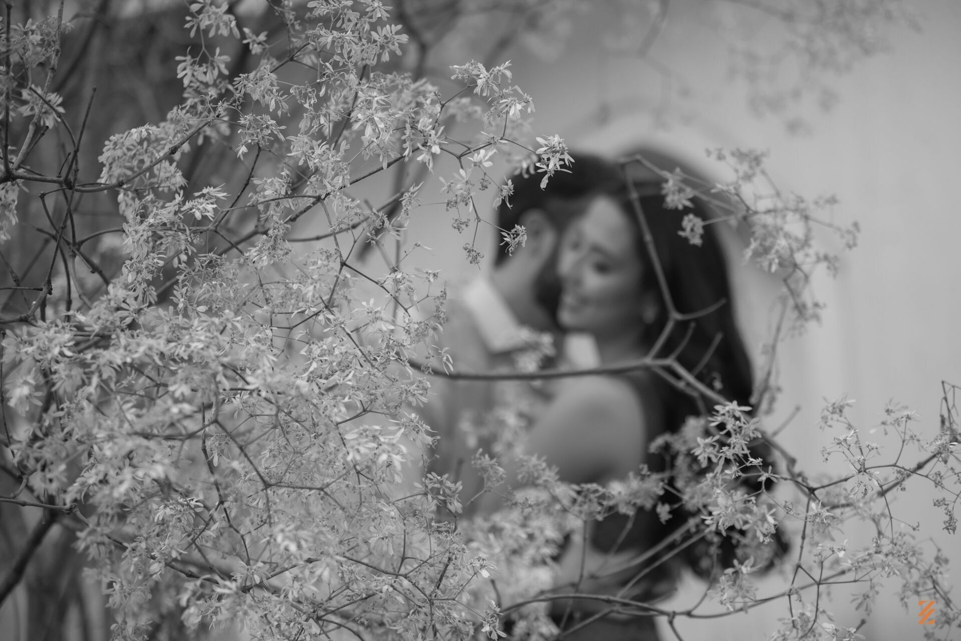 Foto Isabella e Renan - Imagem 2