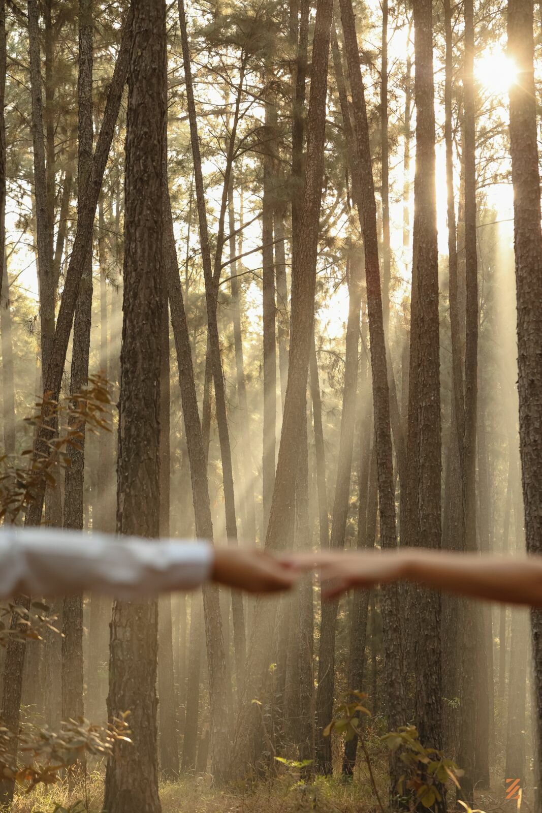 Foto Isabella e Renan - Imagem 22