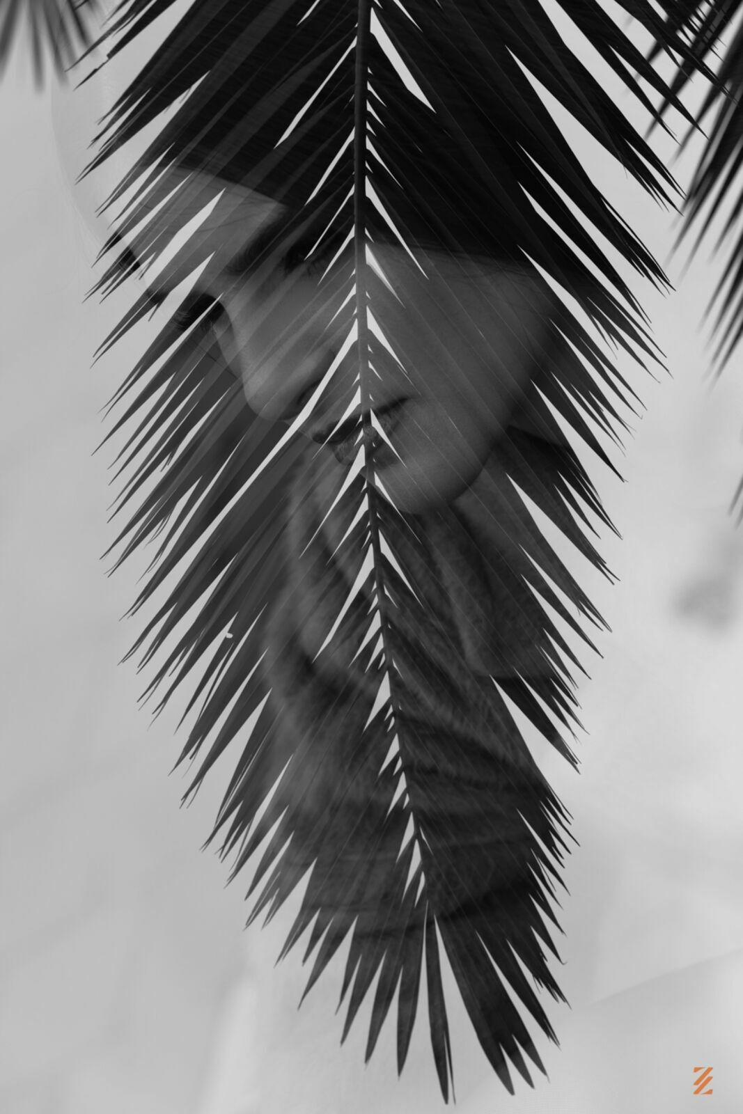 Foto Julia  - Imagem 56