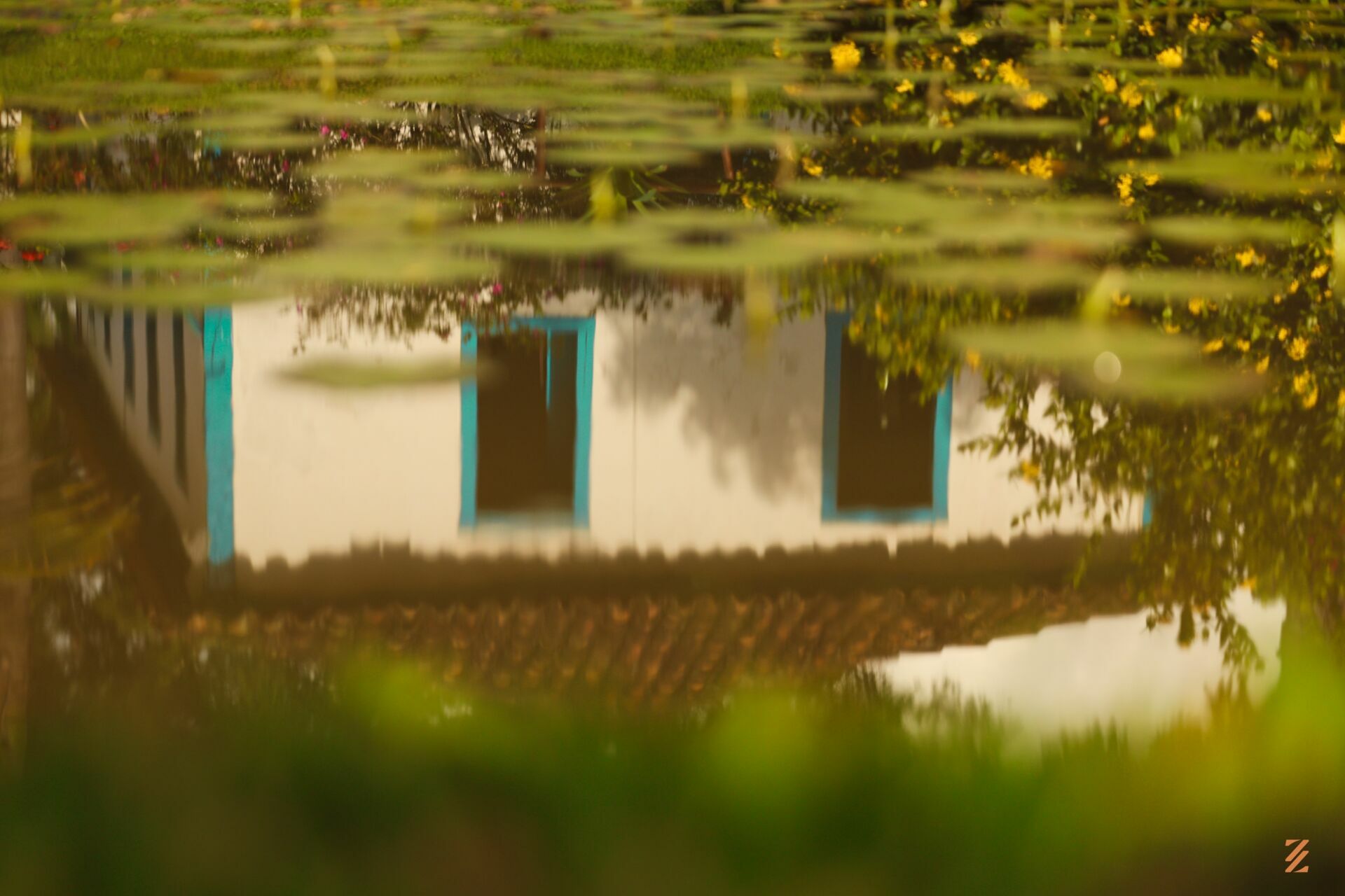 Foto Pre Wedding Eda e Rodolpho - Imagem 30