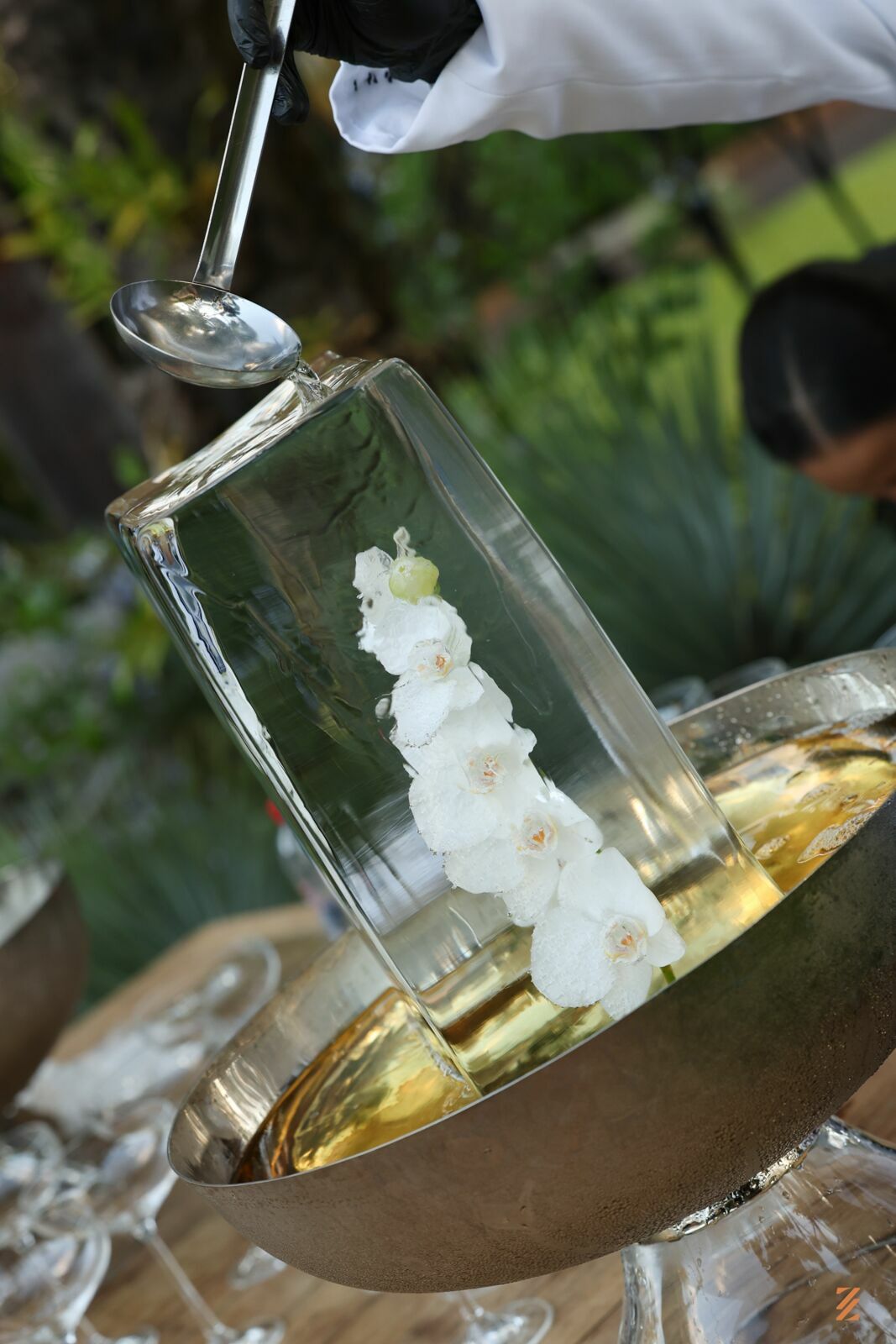 Foto cas Paola e Raphael Foto cas Paola e Raphael - Imagem 45