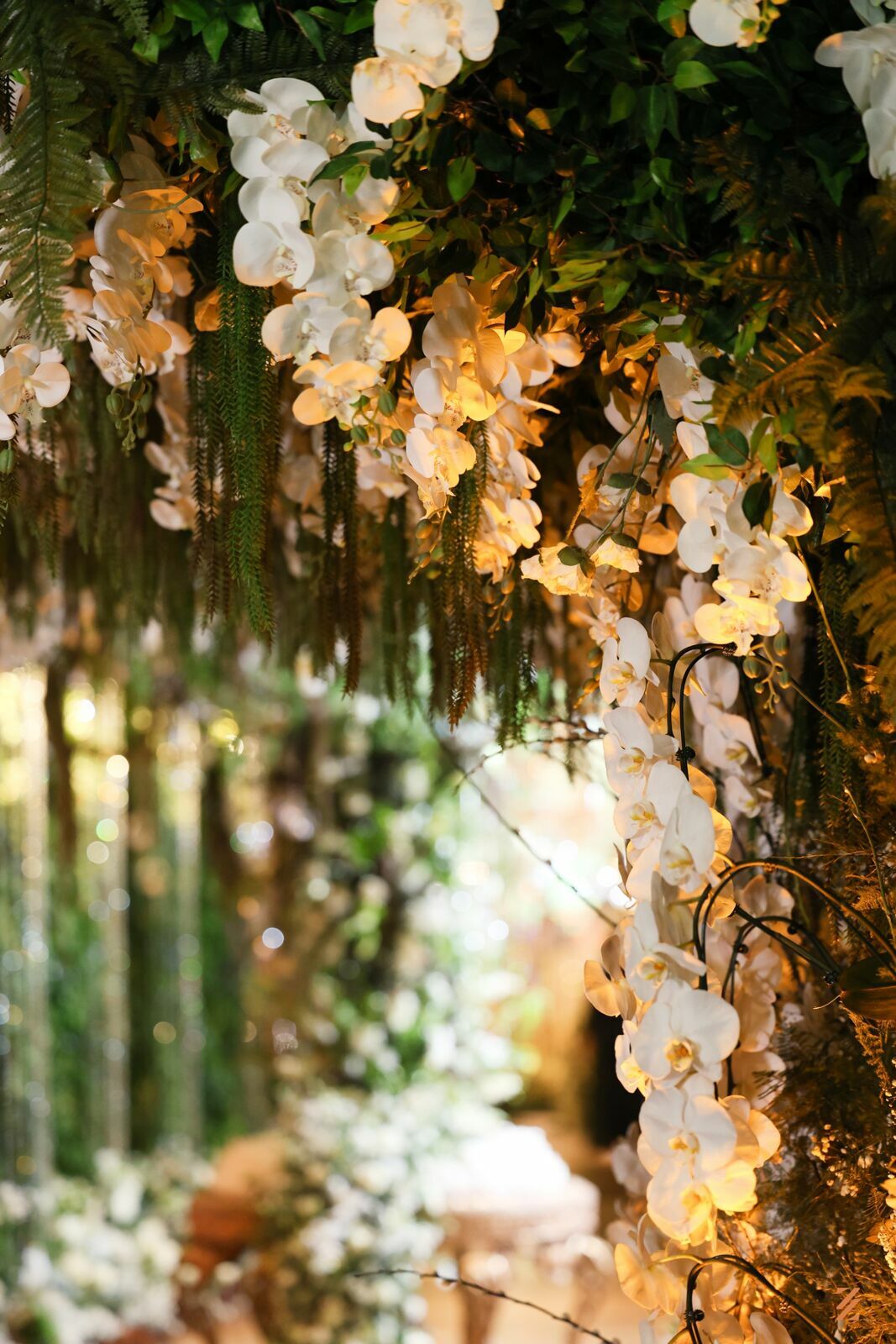 Foto cas Paola e Raphael Foto cas Paola e Raphael - Imagem 77