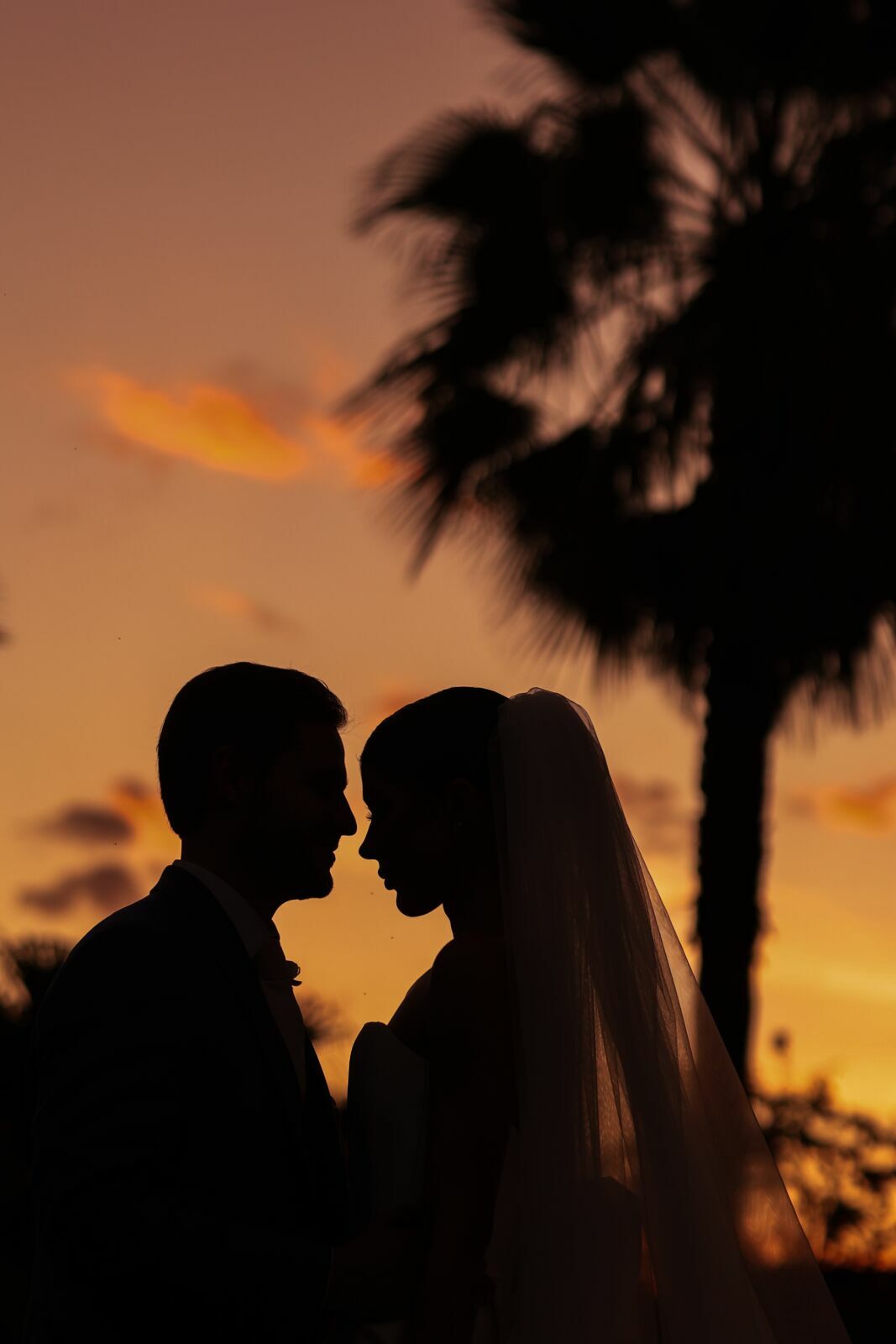 Foto CASAMENTO MARIA VITORIA E GUSTAVO Foto CASAMENTO MARIA VITORIA E GUSTAVO - Imagem 101