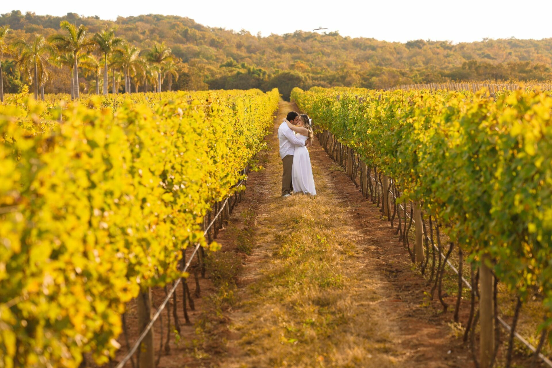 Foto Yasmin e Dorcílio - Imagem 18