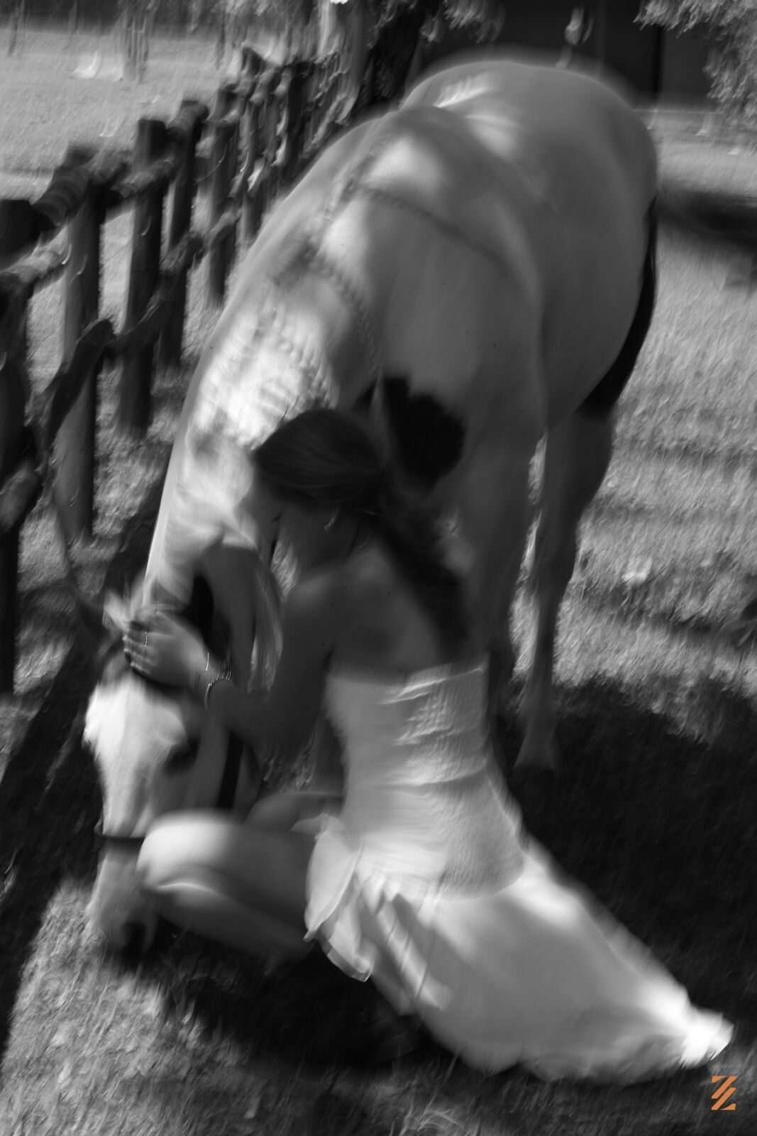 Foto Elisa Bruxel - Imagem 29