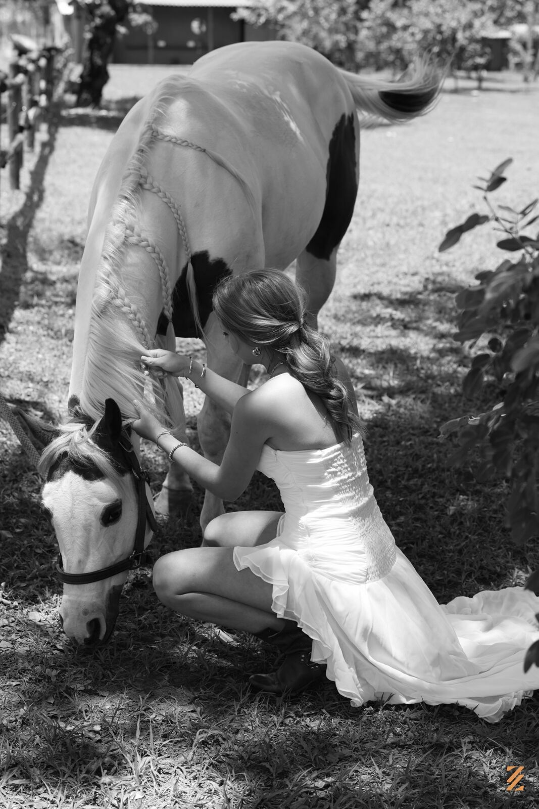 Foto Elisa Bruxel - Imagem 15