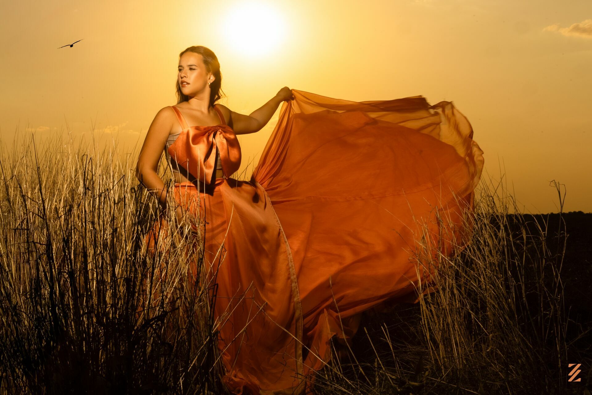 Foto Sophia Foto Sophia - Imagem 4