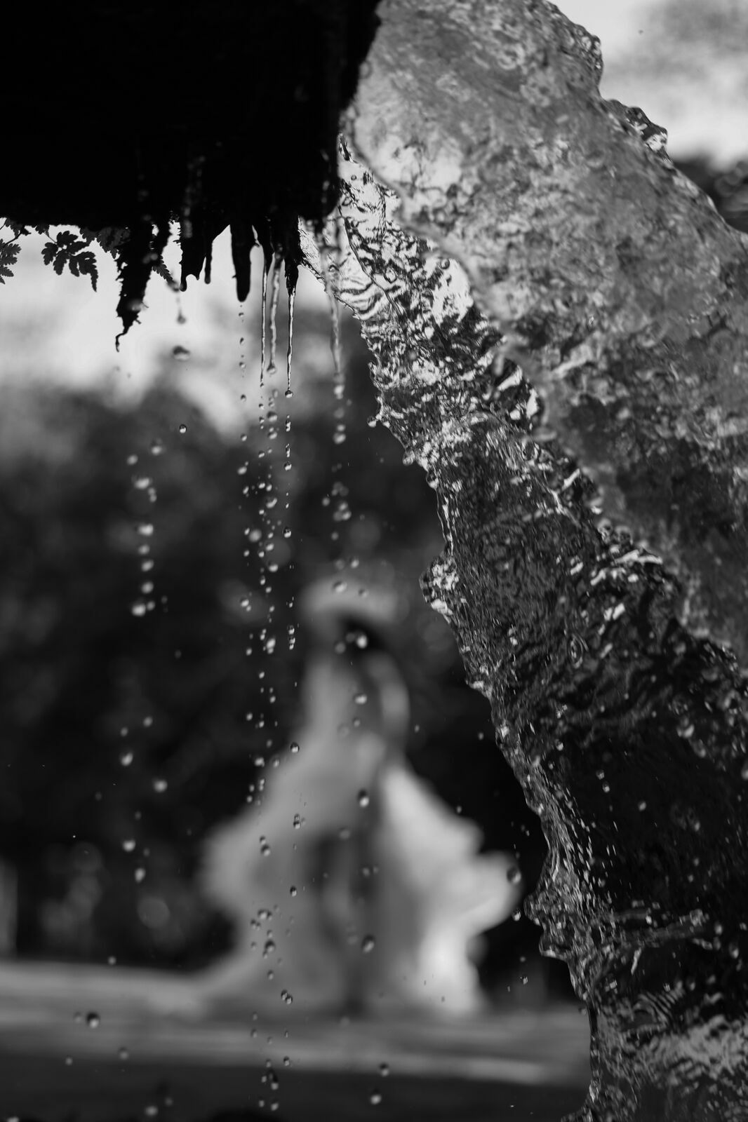 Foto ANA - Imagem 59