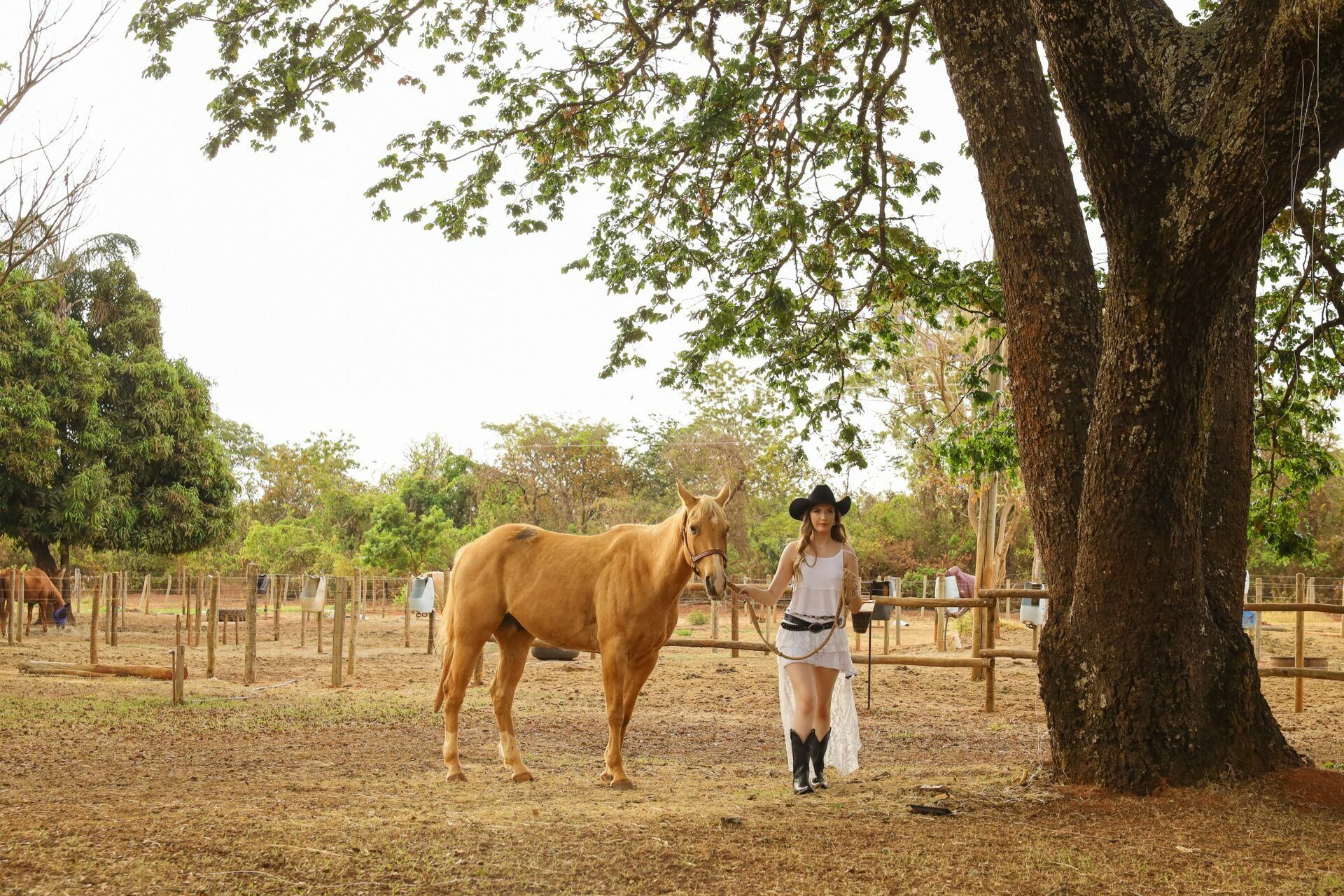 Foto Sophia França - Imagem 33