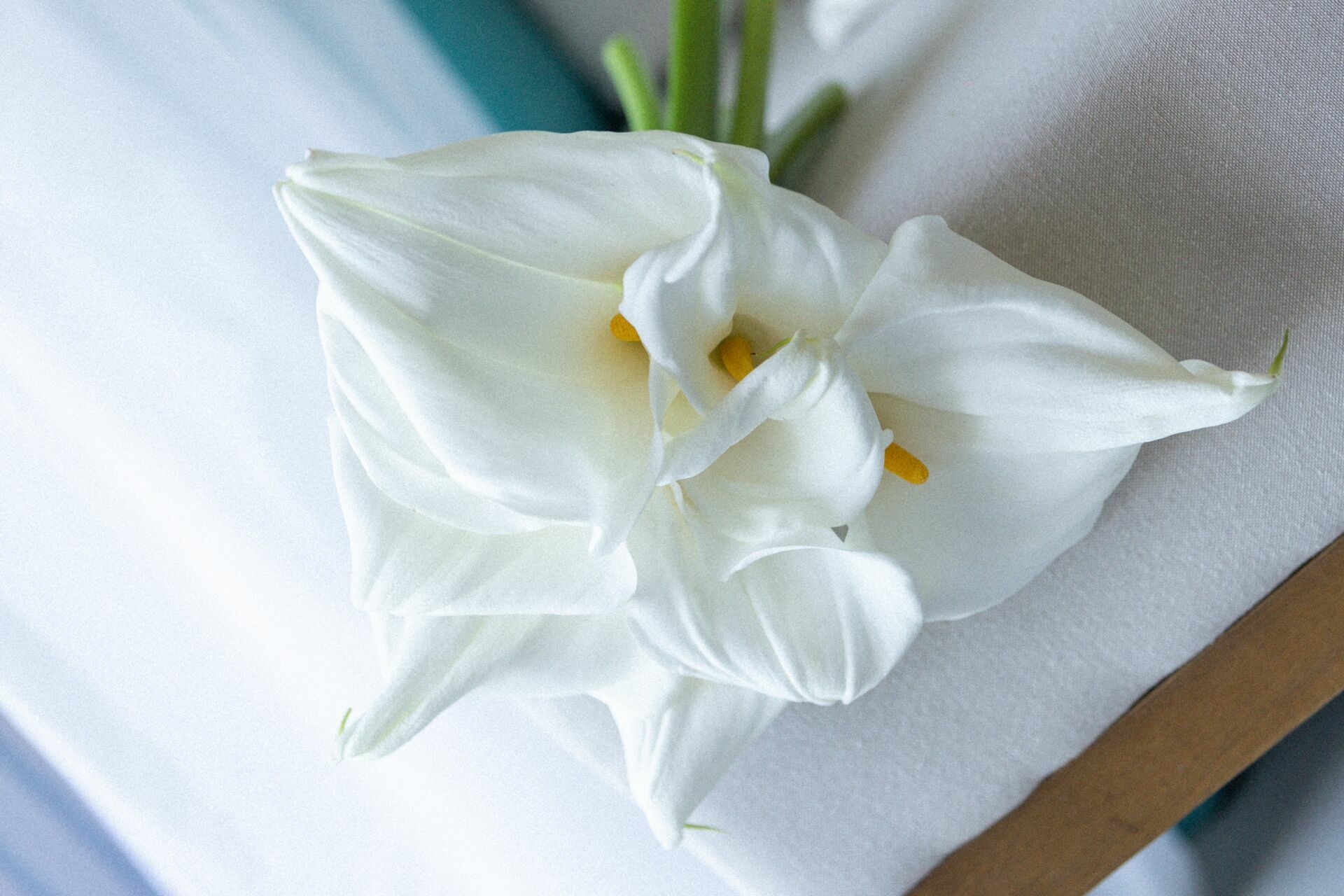 Foto 25 anos de Amor - Patricia e Rodolfo Foto 25 anos de Amor - Patricia e Rodolfo - Imagem 5