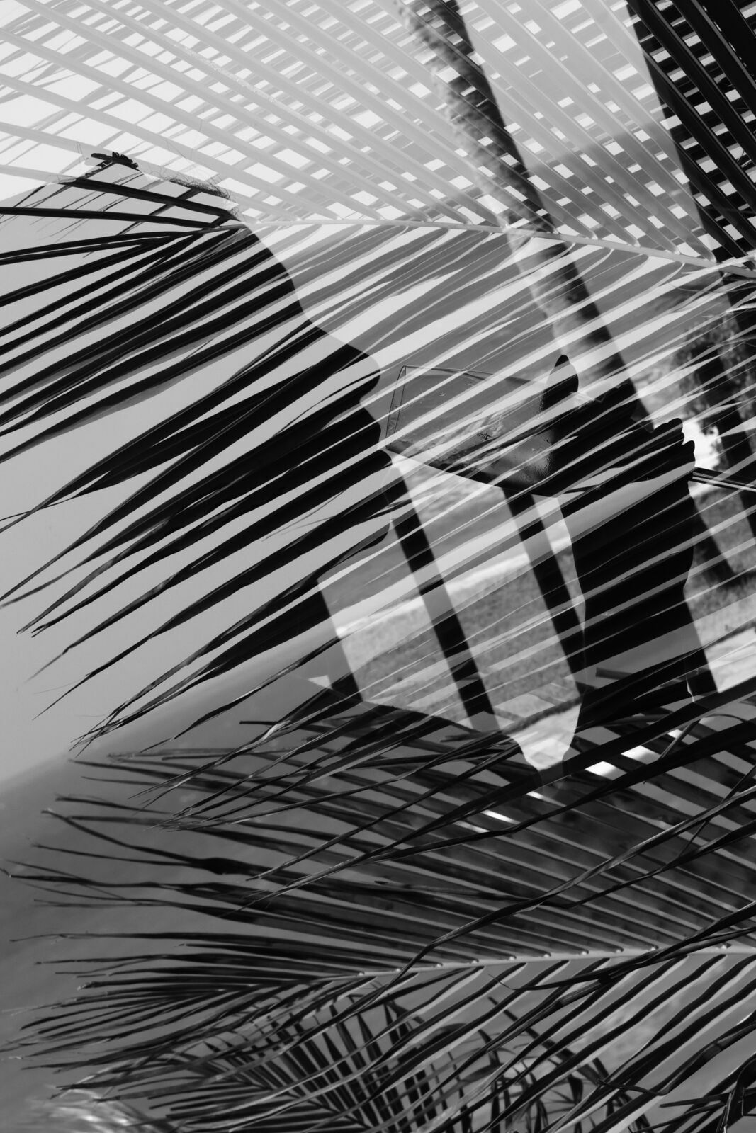 Foto 25 anos de Amor - Patricia e Rodolfo Foto 25 anos de Amor - Patricia e Rodolfo - Imagem 4