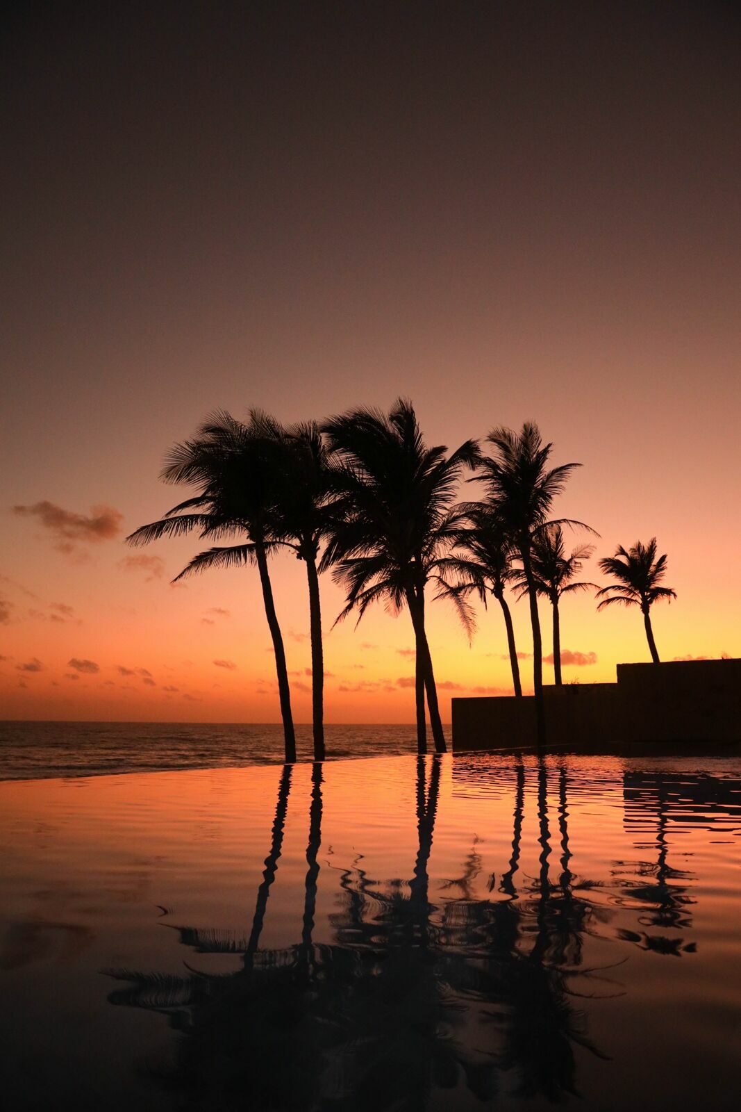 Foto 25 anos de Amor - Patricia e Rodolfo Foto 25 anos de Amor - Patricia e Rodolfo - Imagem 99