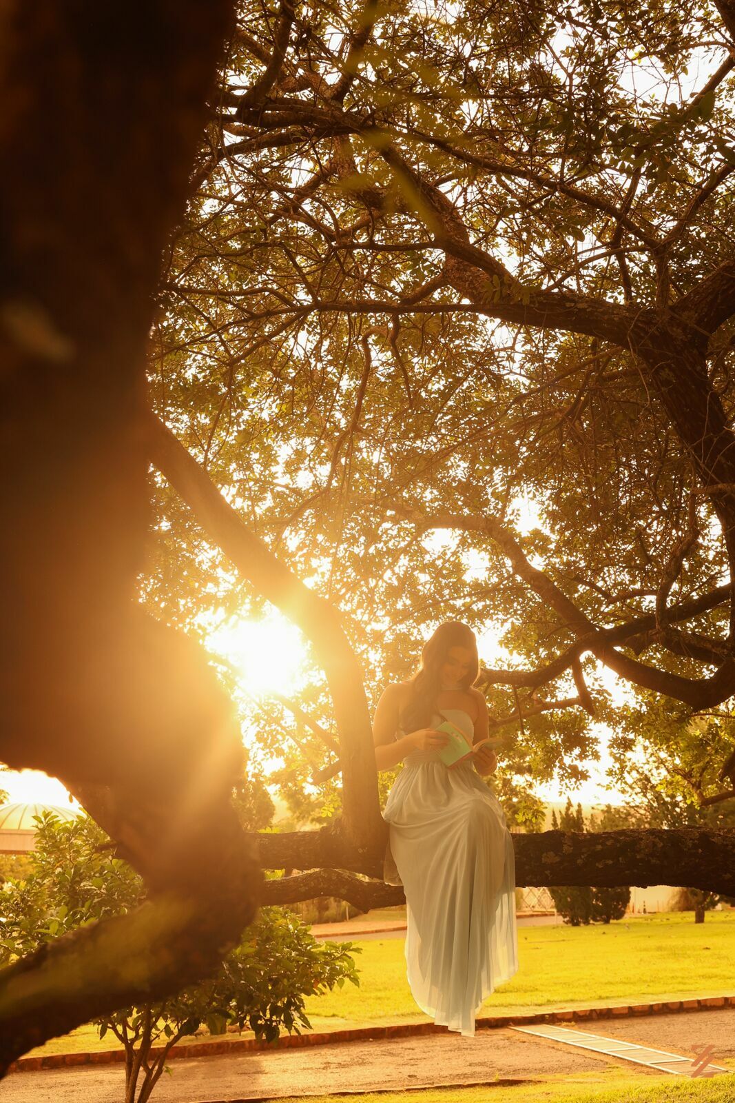 Foto Ensaio Laura Rocha - Imagem 18