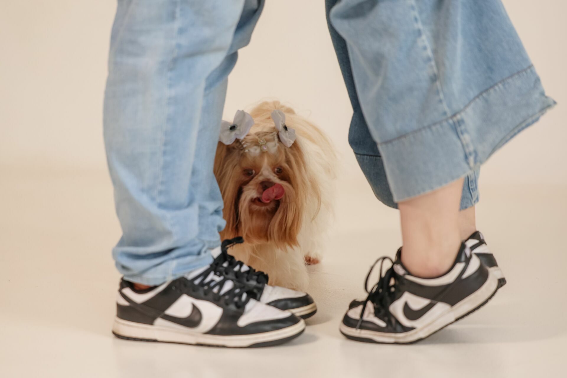 Foto Pre Wedding Maria Eugenia e Victor - Imagem 3