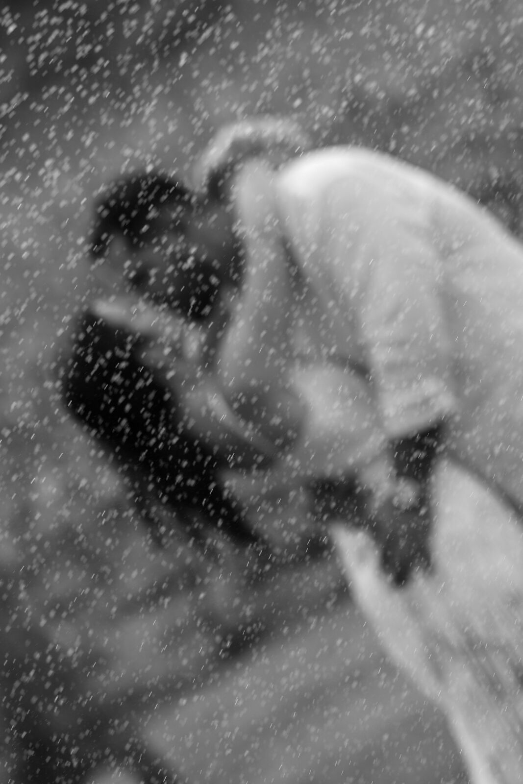 Foto Pre Wedding Maria Eugenia e Victor - Imagem 7