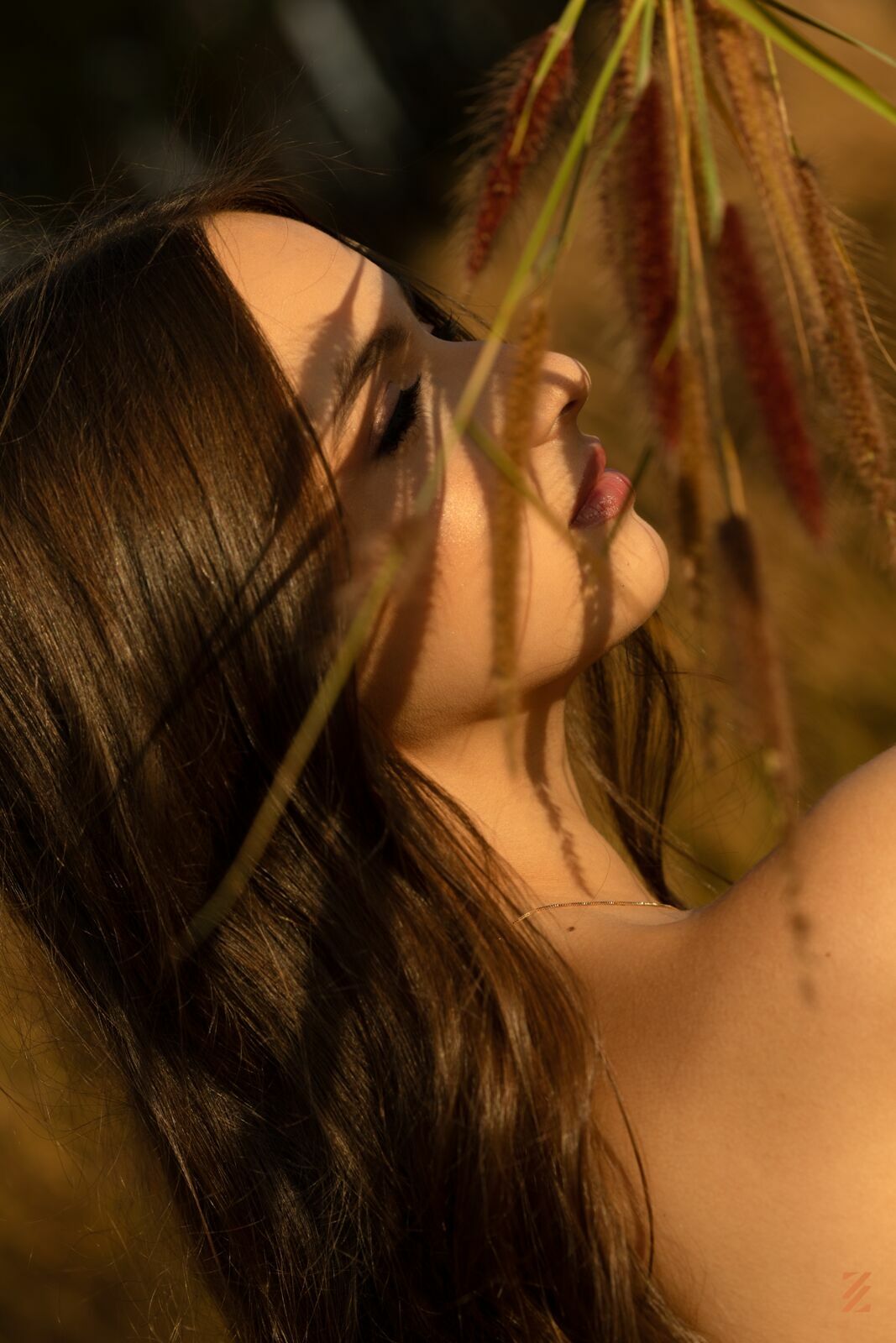 Foto Ana Helena - Imagem 46