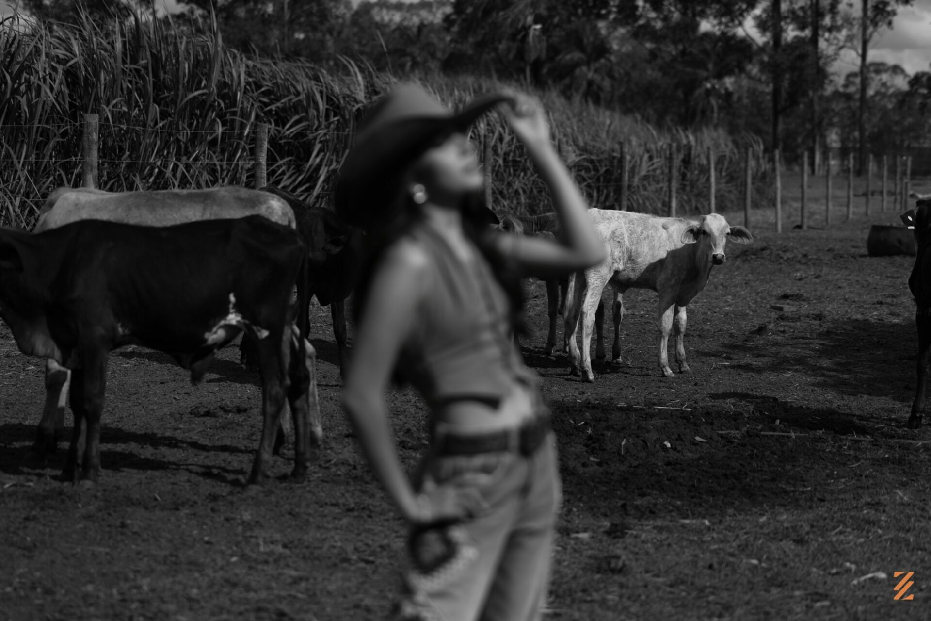 Foto Ana Júlia - Imagem 21