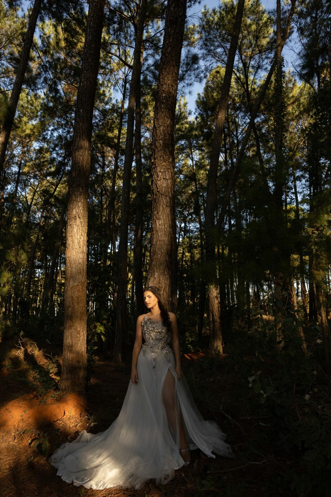 Foto Amanda Arantes - Imagem 58